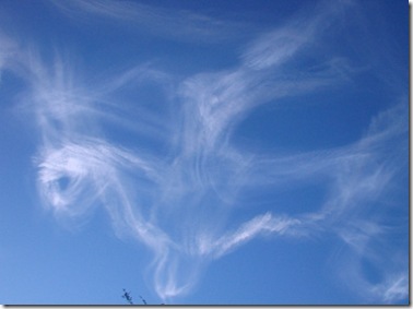 537410493_e8162f5fb9