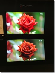 20160107_171537405_iOS