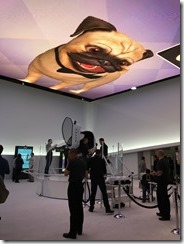 20160108_201640710_iOS