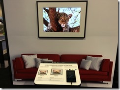 20160108_203552934_iOS